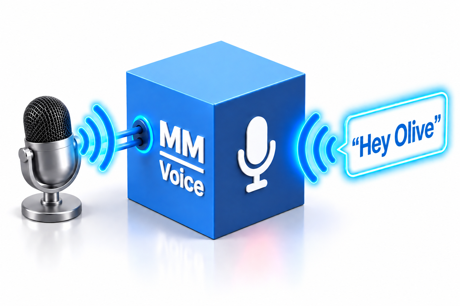 MM-Voice product illustration